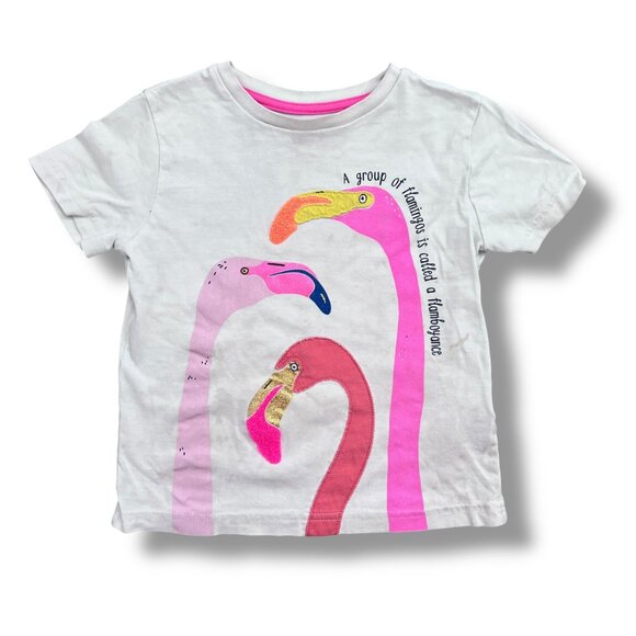 Mini Boden Pink Flamingo Appliqué Flamboyance Facts Short Sleeve Shirt Size 4-5Y - Picture 5 of 5
